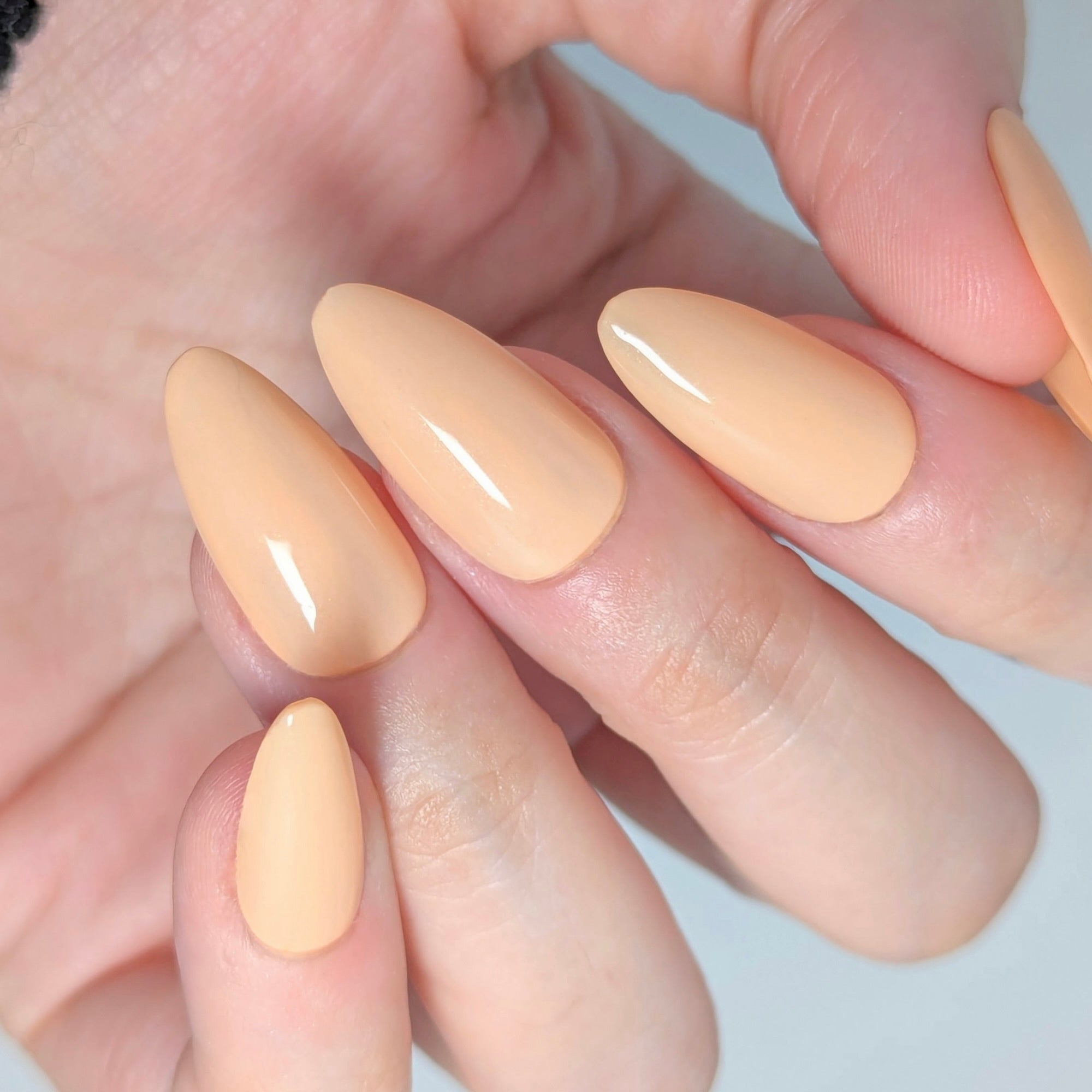 SUNSET SORBET